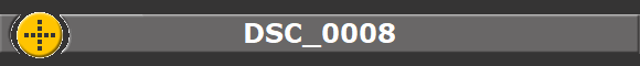 DSC_0008