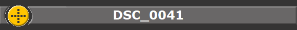 DSC_0041