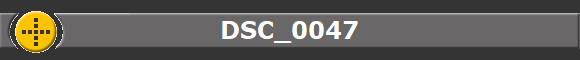 DSC_0047