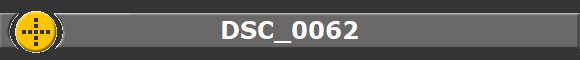 DSC_0062