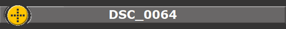 DSC_0064