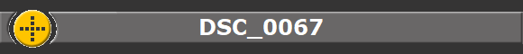 DSC_0067