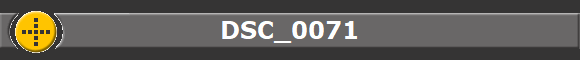DSC_0071