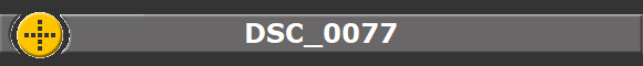 DSC_0077